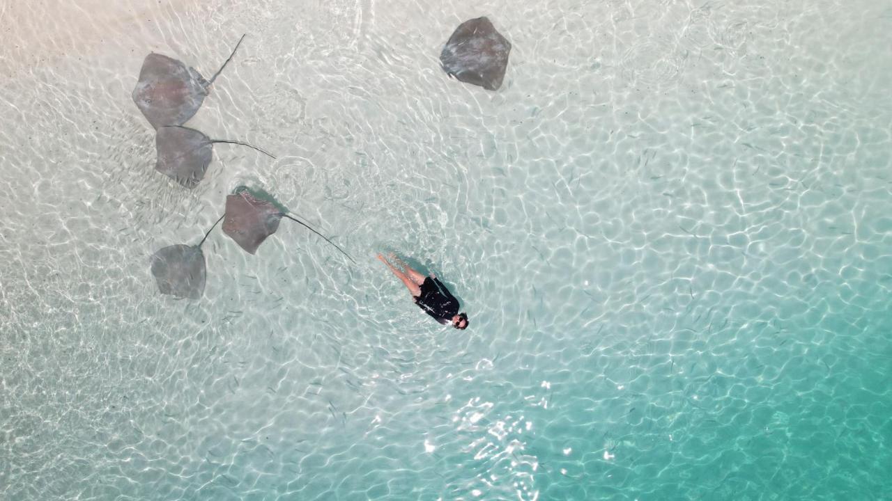 Pelican Beach Maafushi Exterior foto
